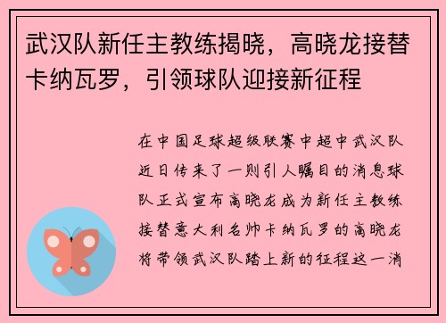 武汉队新任主教练揭晓，高晓龙接替卡纳瓦罗，引领球队迎接新征程